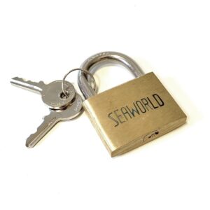 Brass Padlocks with Stainless Steel Shackles