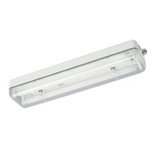 1888 Surface Mount Multipurpose Luminaire